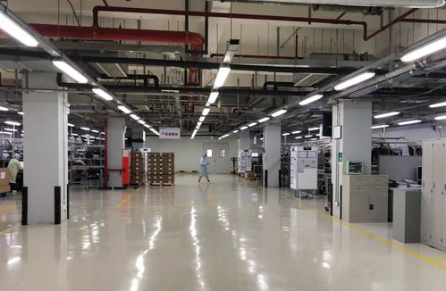 他們?yōu)楹卧袊?這組數(shù)字給出答案