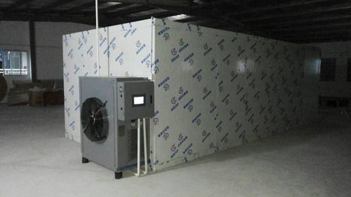 足干夠硬的魚膠烘干技術公開