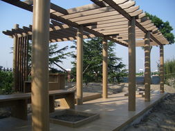 廣州同欣 木塑型材賦能康體設備，引領綠色運動新潮流